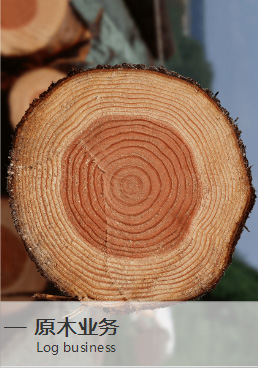 原木业务
