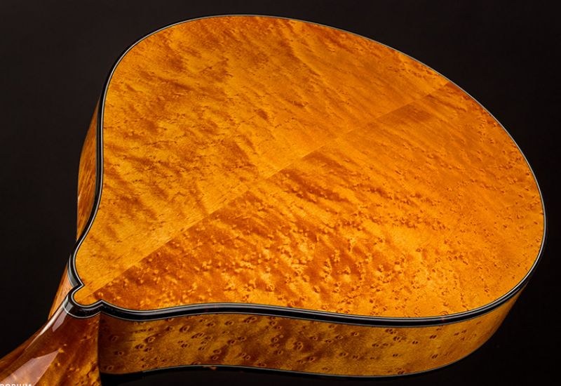 Maple Sparrow Eye Instrument