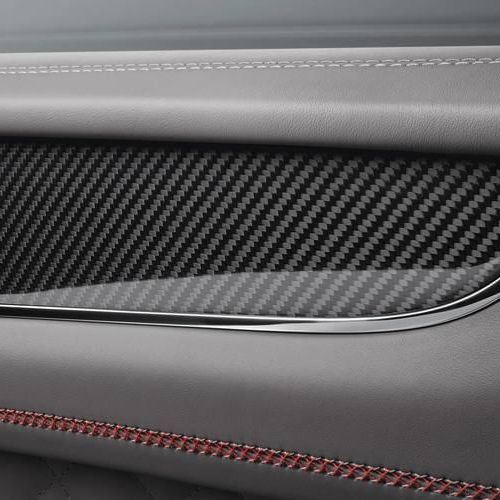 Carbon fiber car interior