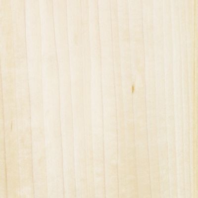 Poplar Tulip Quarter with boxwood straight lines Mappa Poplar