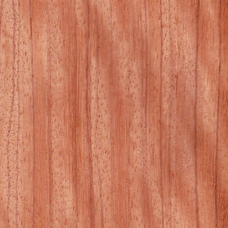 Red Rose/Red Zebra Berlinia/Ebiara