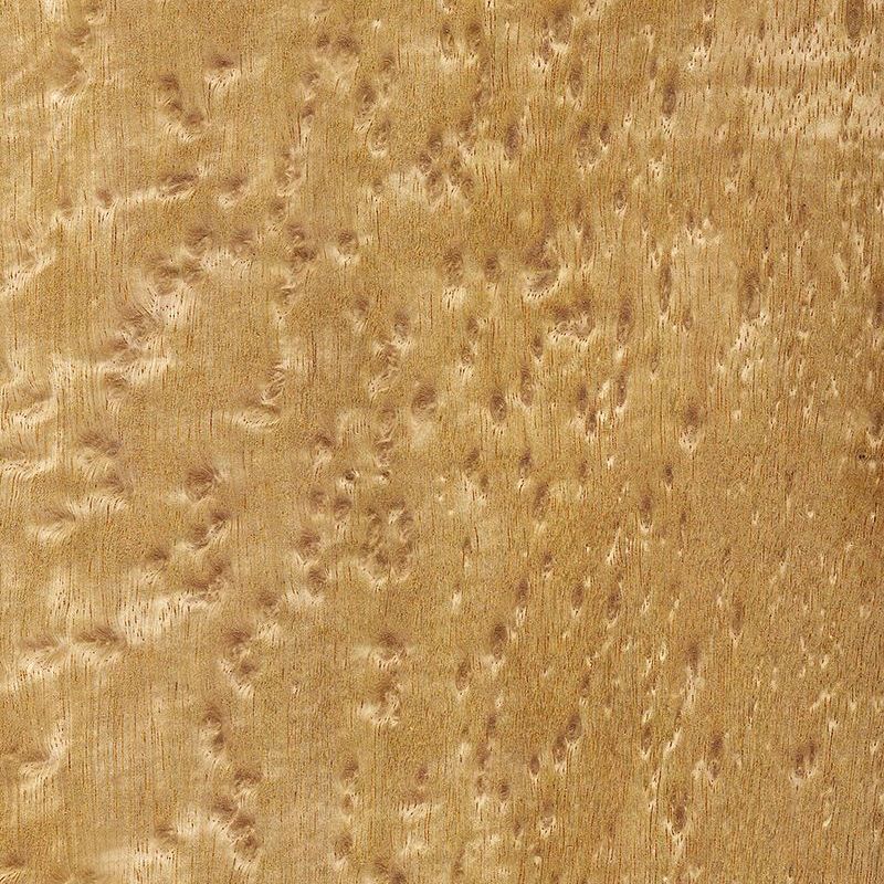 White Meranti Birdeyes