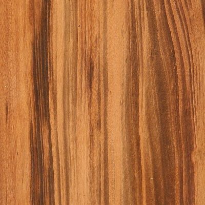 Tiger Wood Goncalo Alves