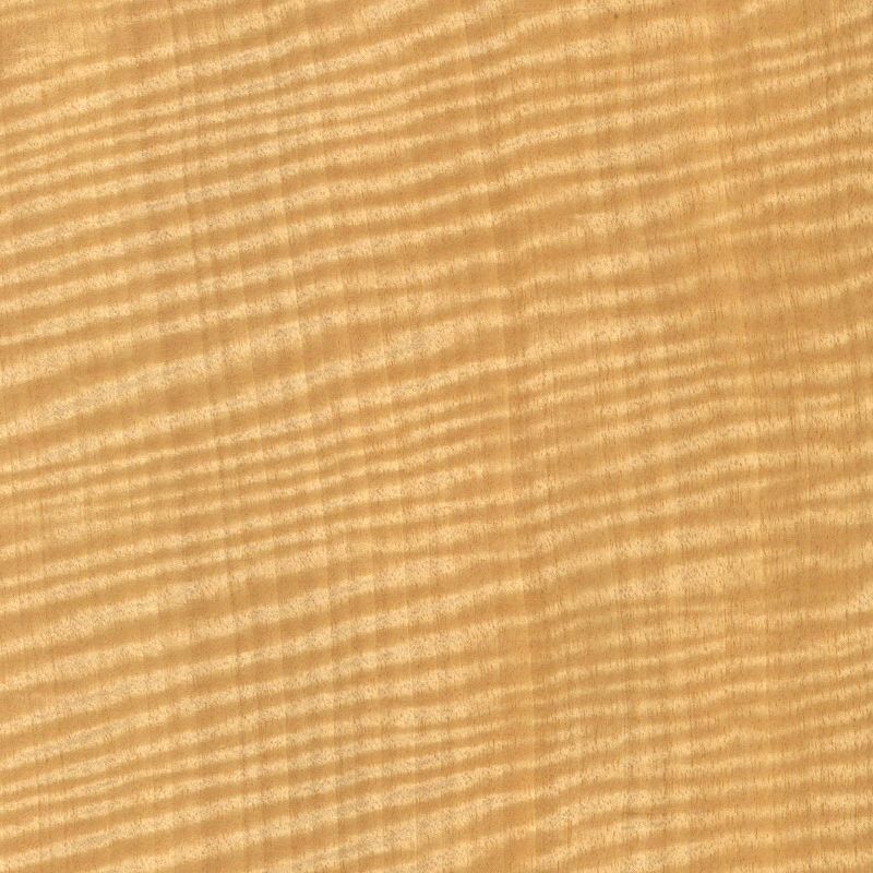 Red Shadow Pork Rib Shadow Anigre Fiddleback Figured