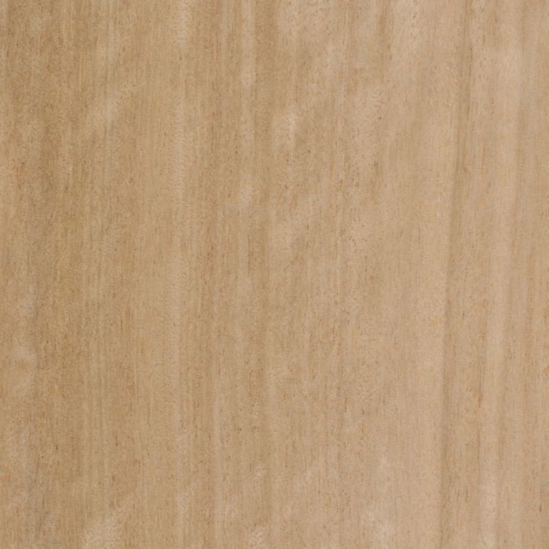 African Duhua Melia Avodire