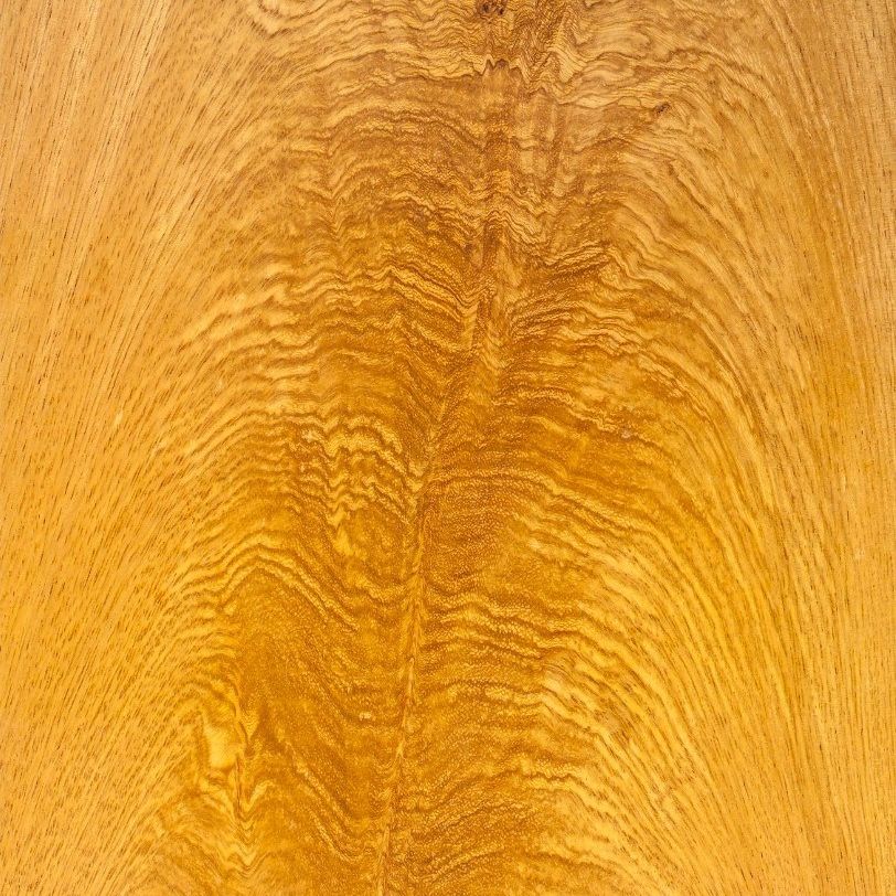 Golden Branches Cerejeira Crotch