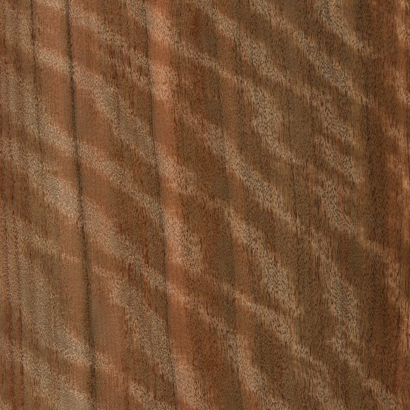 Shadow Australia Black Walnut (Queensland Black Walnut) Figure Queensland Walnut