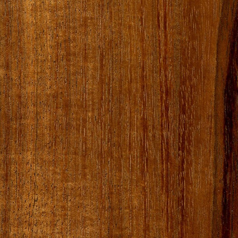 Caribbean Walnut, Tzalam