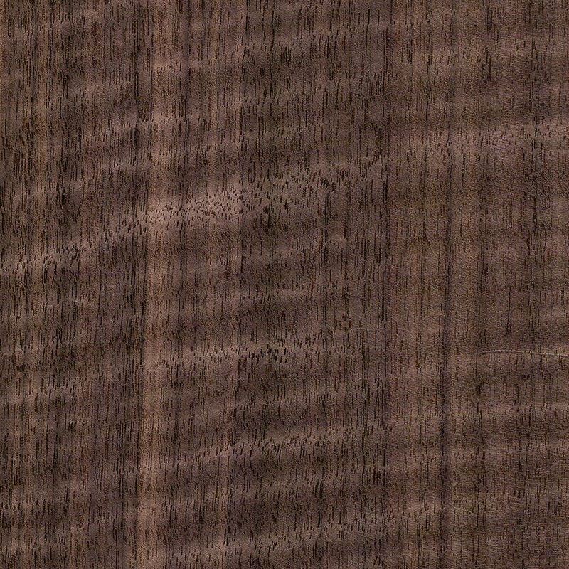 Black Walnut Quarter with straight lines and shadows