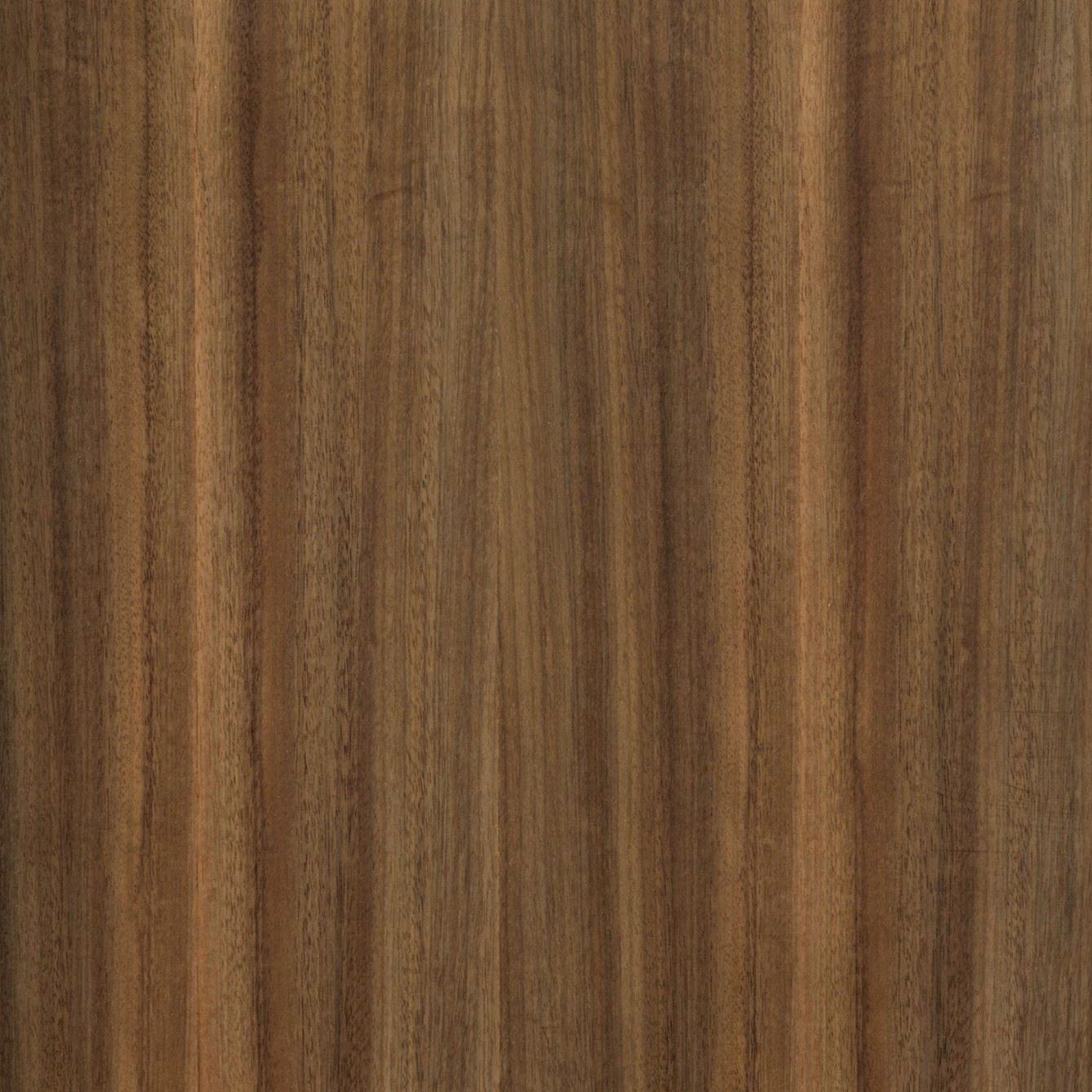 Australian Black Walnut (Queensland Black Walnut) Queensland Walnut