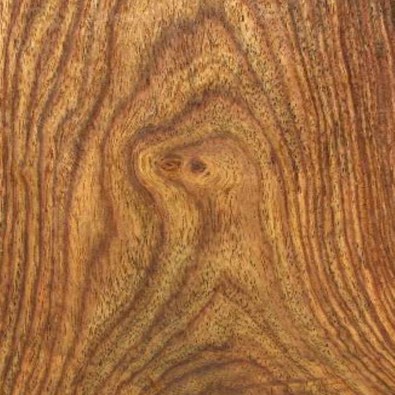 African rosewood (rosewood) Senator Rosewood