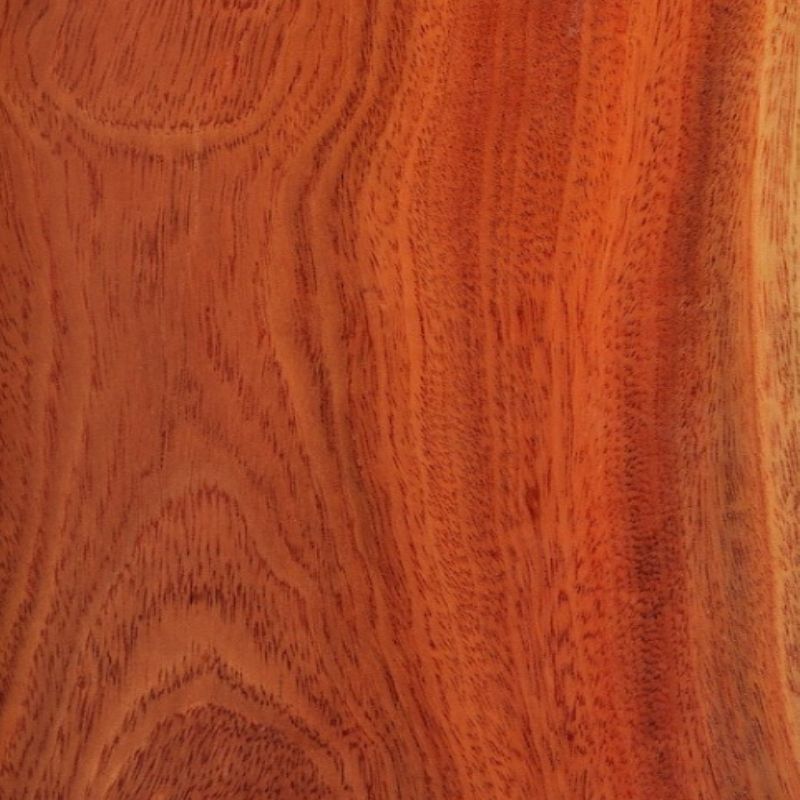 African pineapple vine Missanda