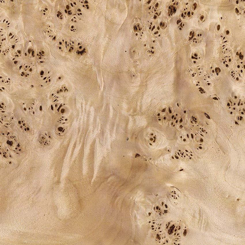 Poplar Burl/Poplar Burl