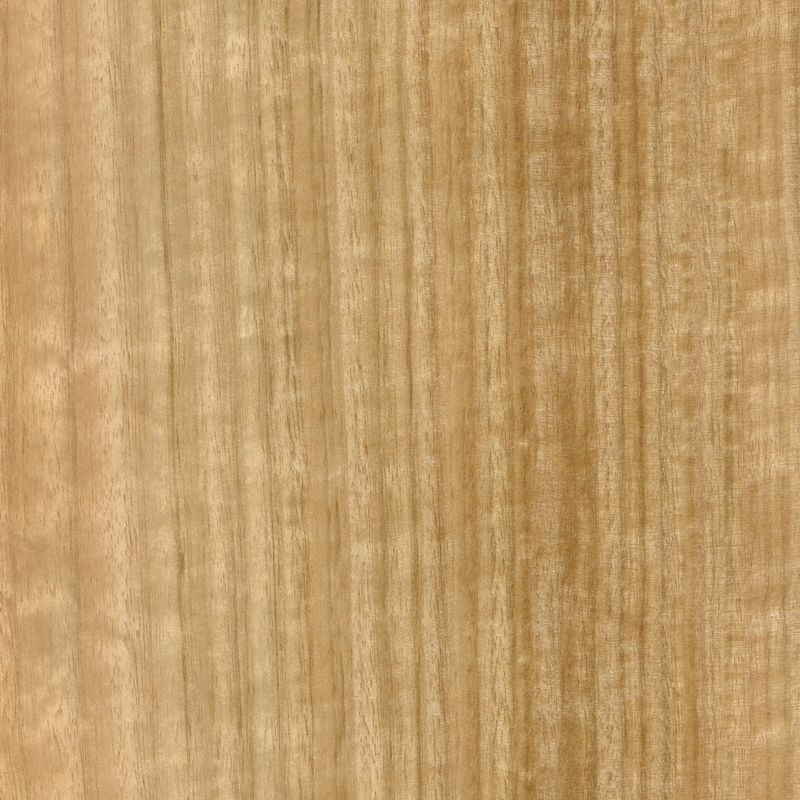 Eucalyptus Quarter with straight lines