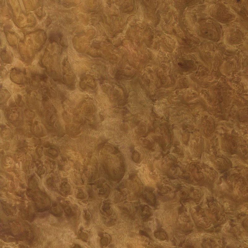 Eucalyptus Burl