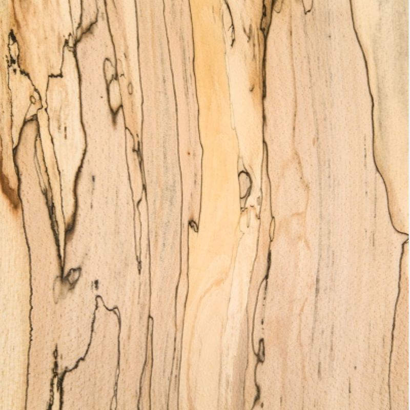 Beech Spalted