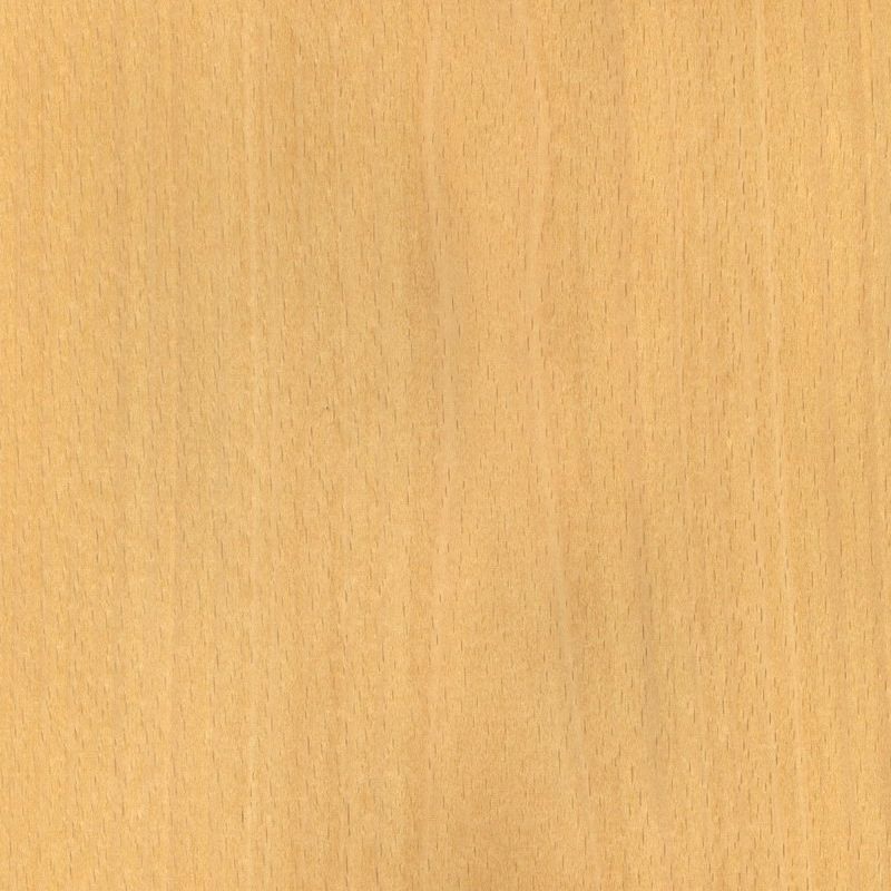 Steamed Beech Crown with Red Beech Mountain Pattern