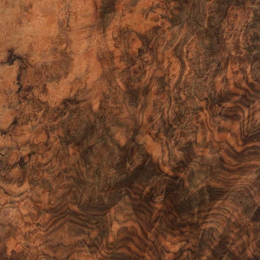 European Walnut Burl