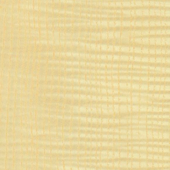 Ash Figure with Shadow on White Bolt