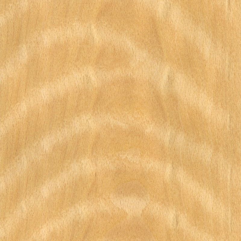 Beech Shadow Pattern