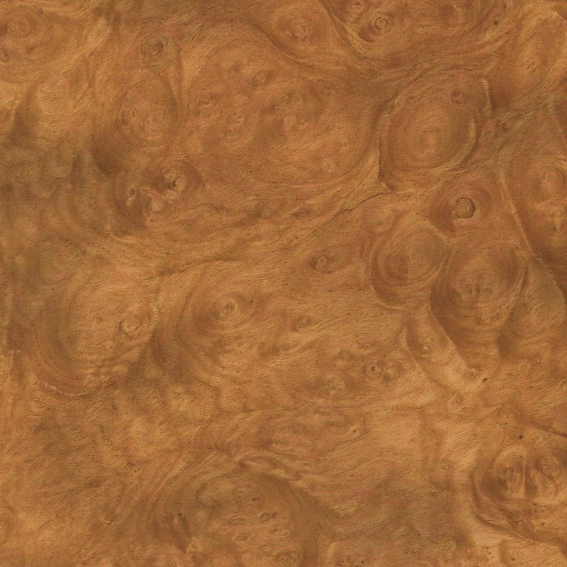 Chestnut Burl