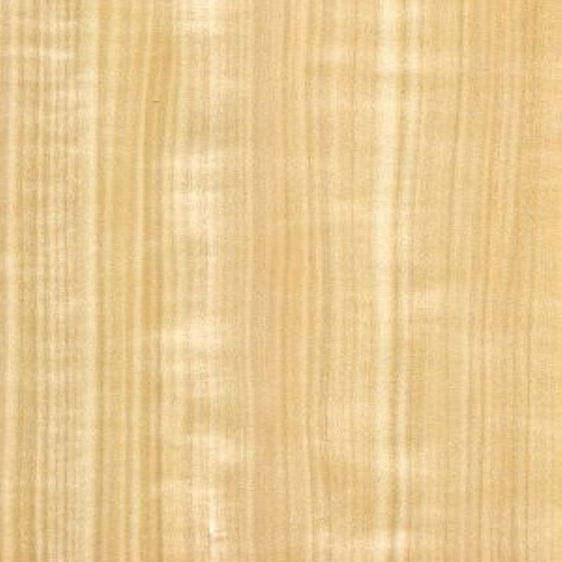 Aspen Mountain Poplar