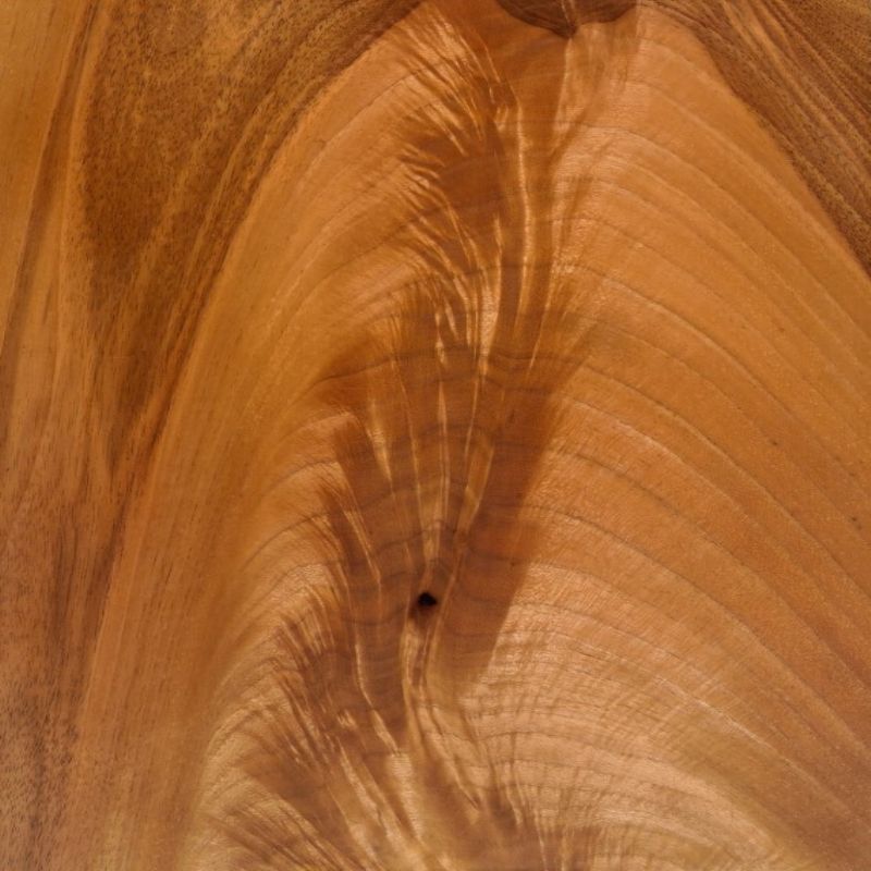 European Walnut Crotch