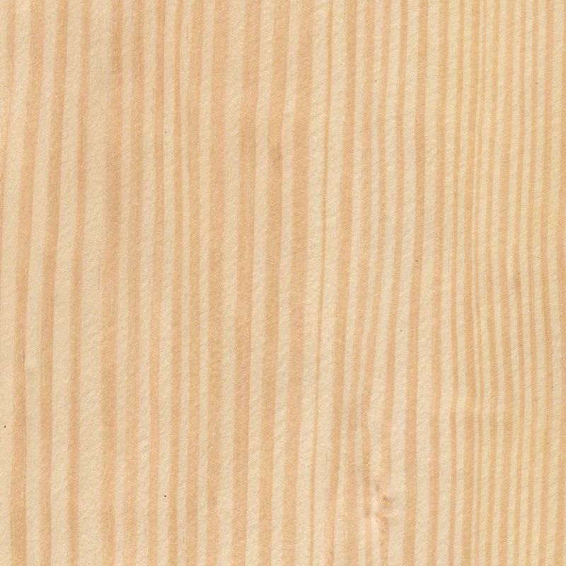 花旗松 Douglas-Fir