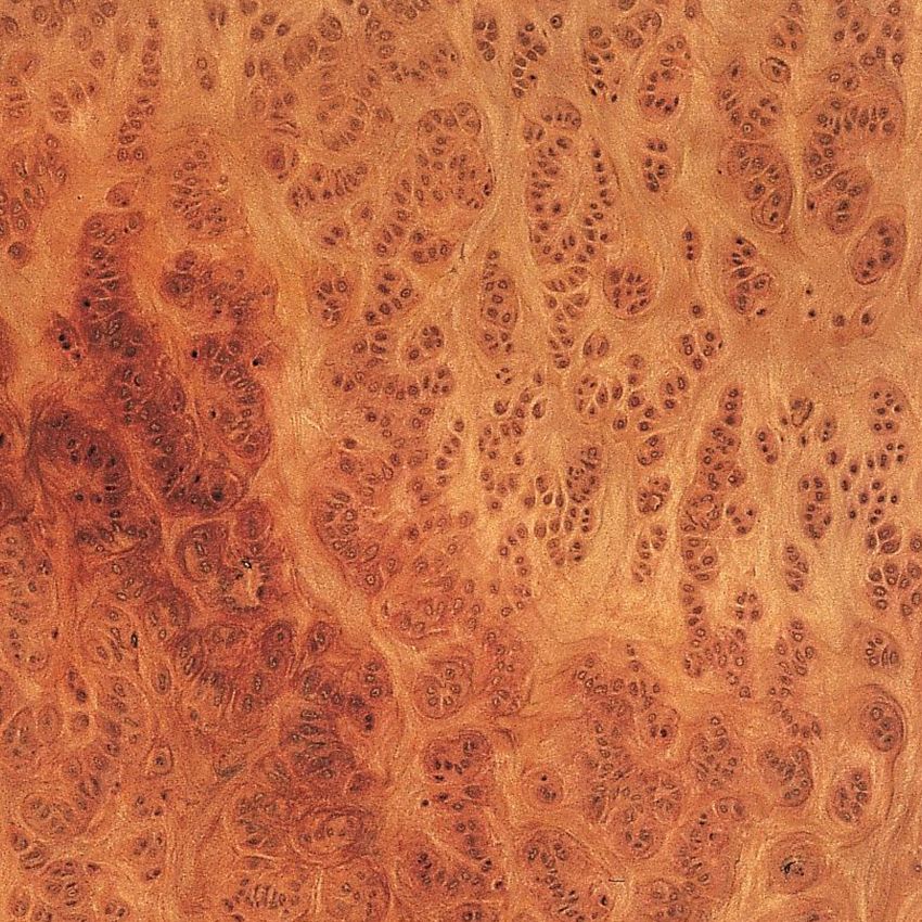 红木树瘤 Redwood Burl/ Vavona Burl