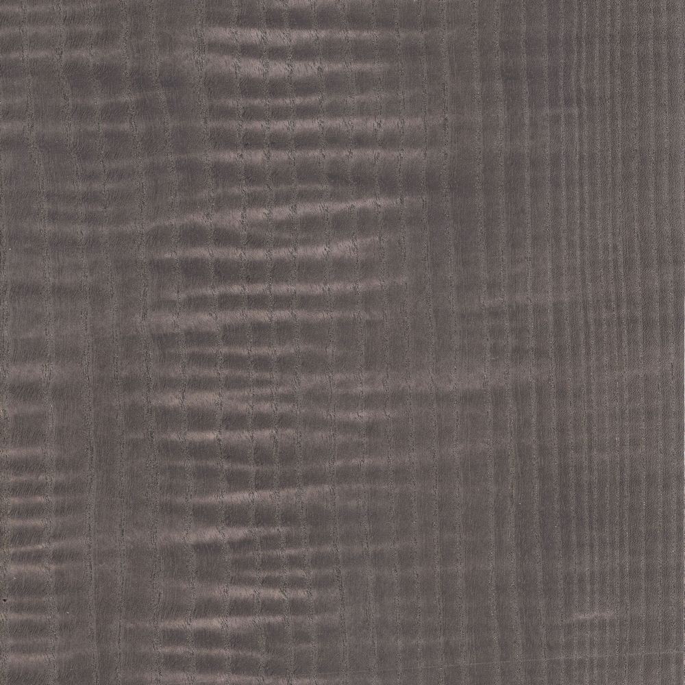 进口白蜡影 OSR-037