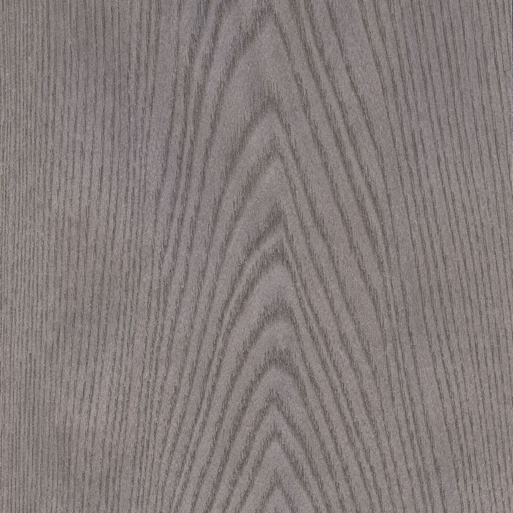 American Red Elm OSR-039