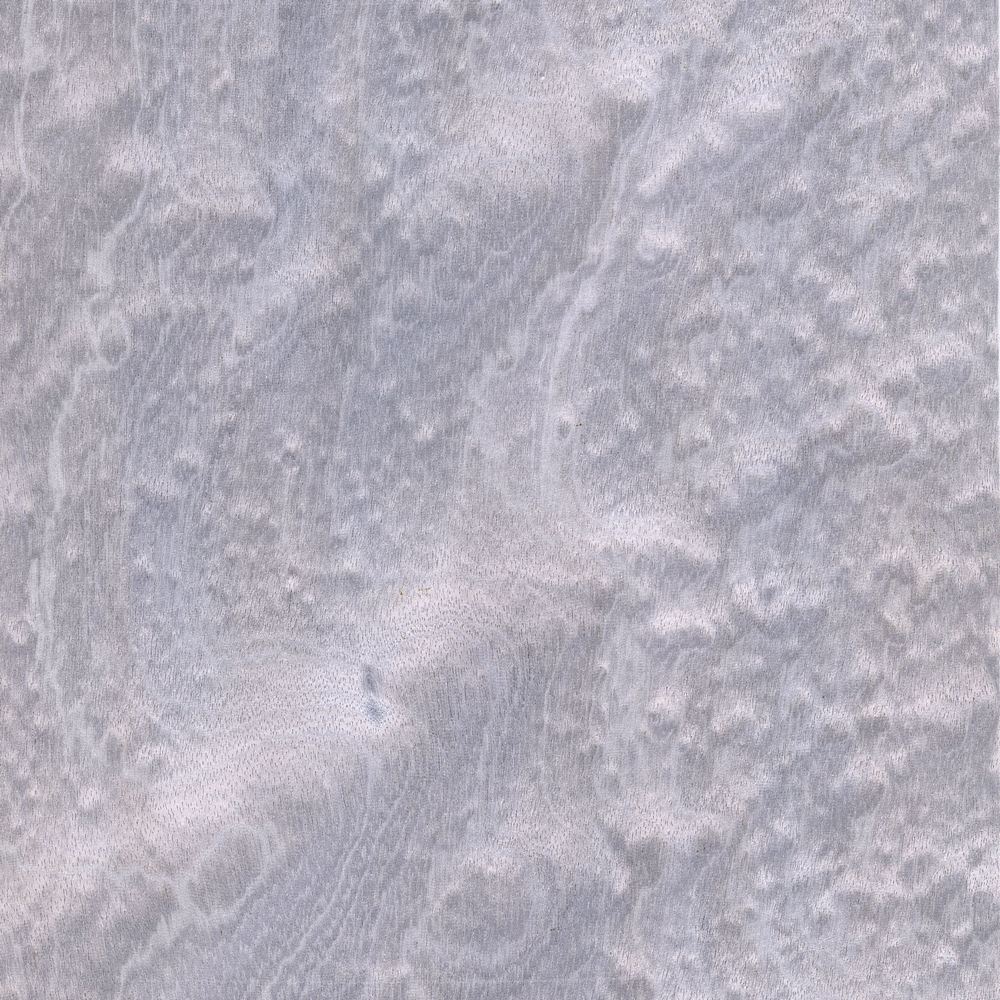 球纹麦格利 OSR-027