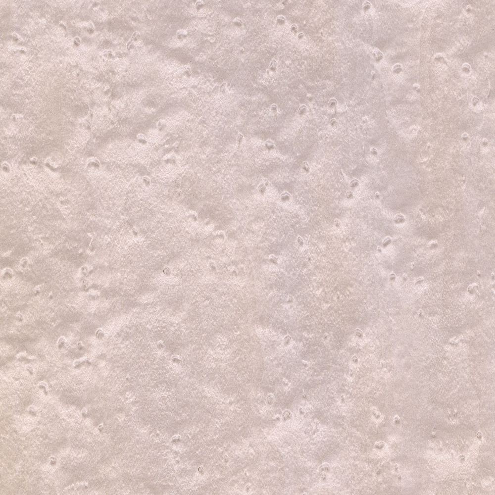 Maple Sparrow Eye OSR-043