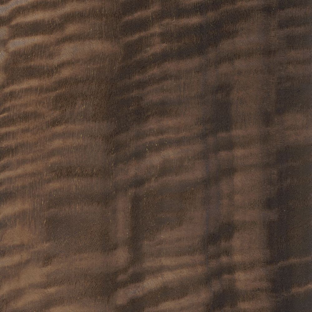 Smoked eucalyptus OSR-052