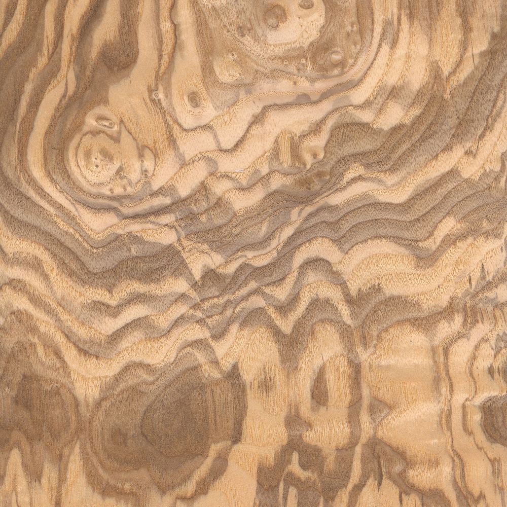 Olive wood OSR-055