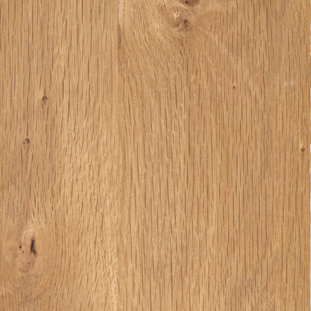 Oak tree durian OSR-056