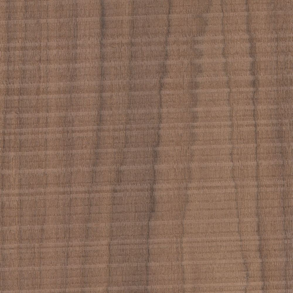 锯齿胡桃木 OSR-058