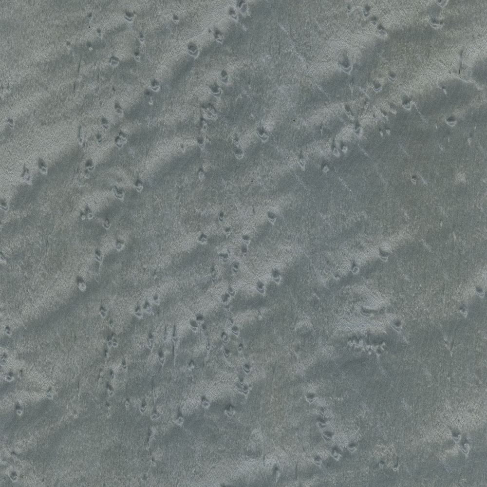 Maple Sparrow OSR-005