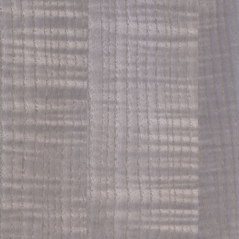 Stained white thrombus shadow OSR-017