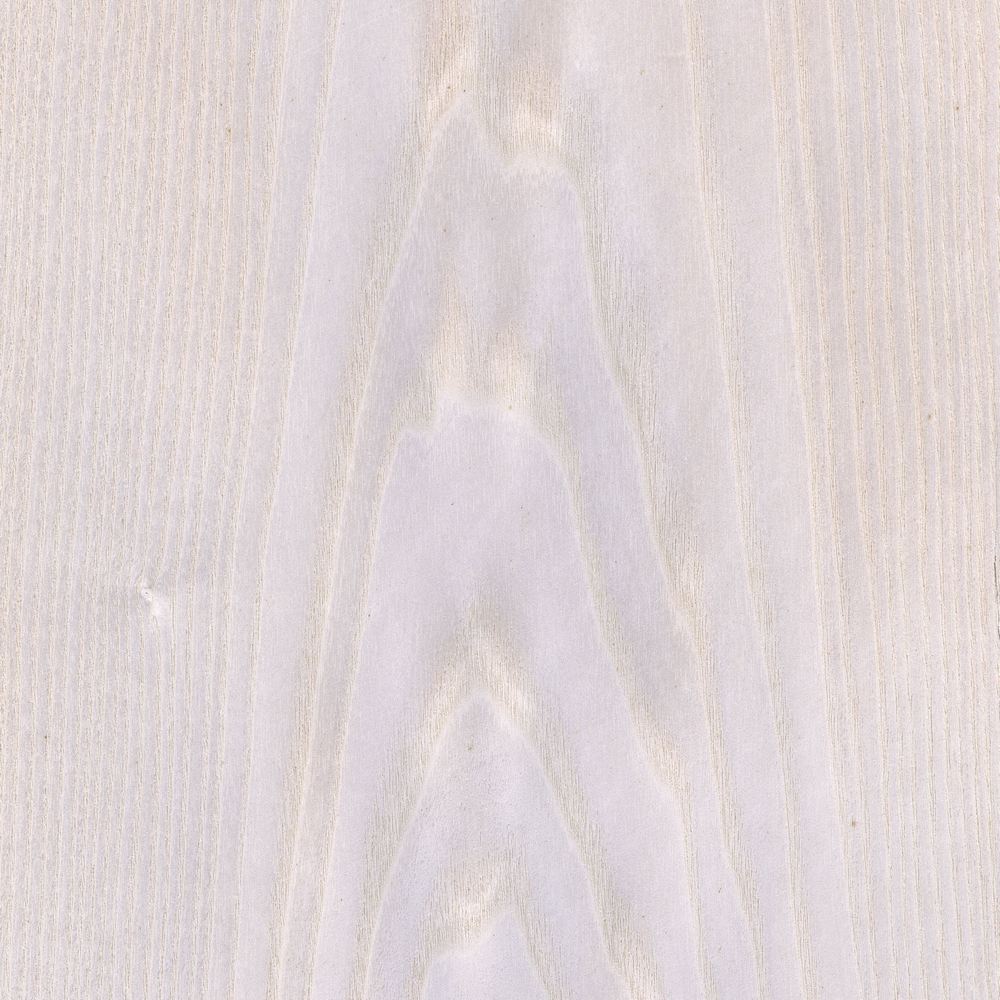 Stained White Throat OSR-016