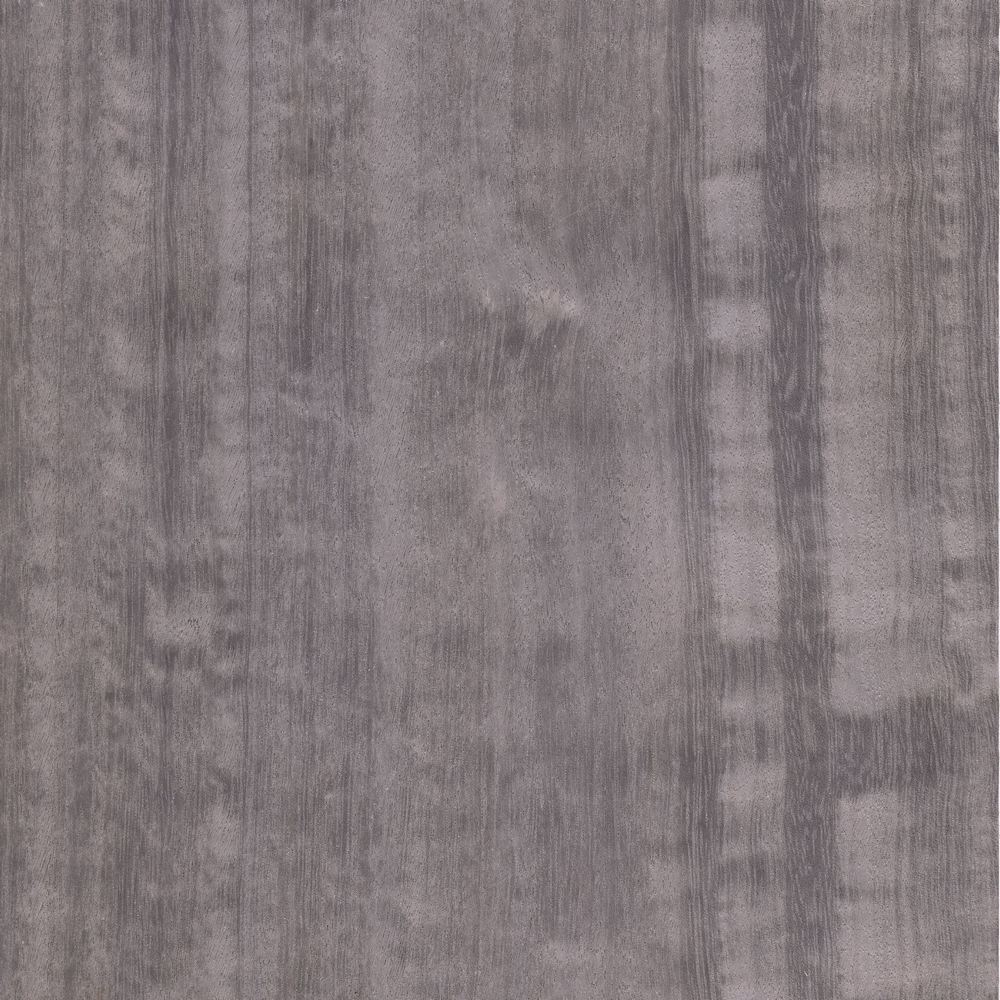 染色尤加利 OSR-020