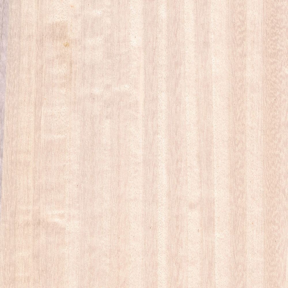 Dyeing eucalyptus OSR-019