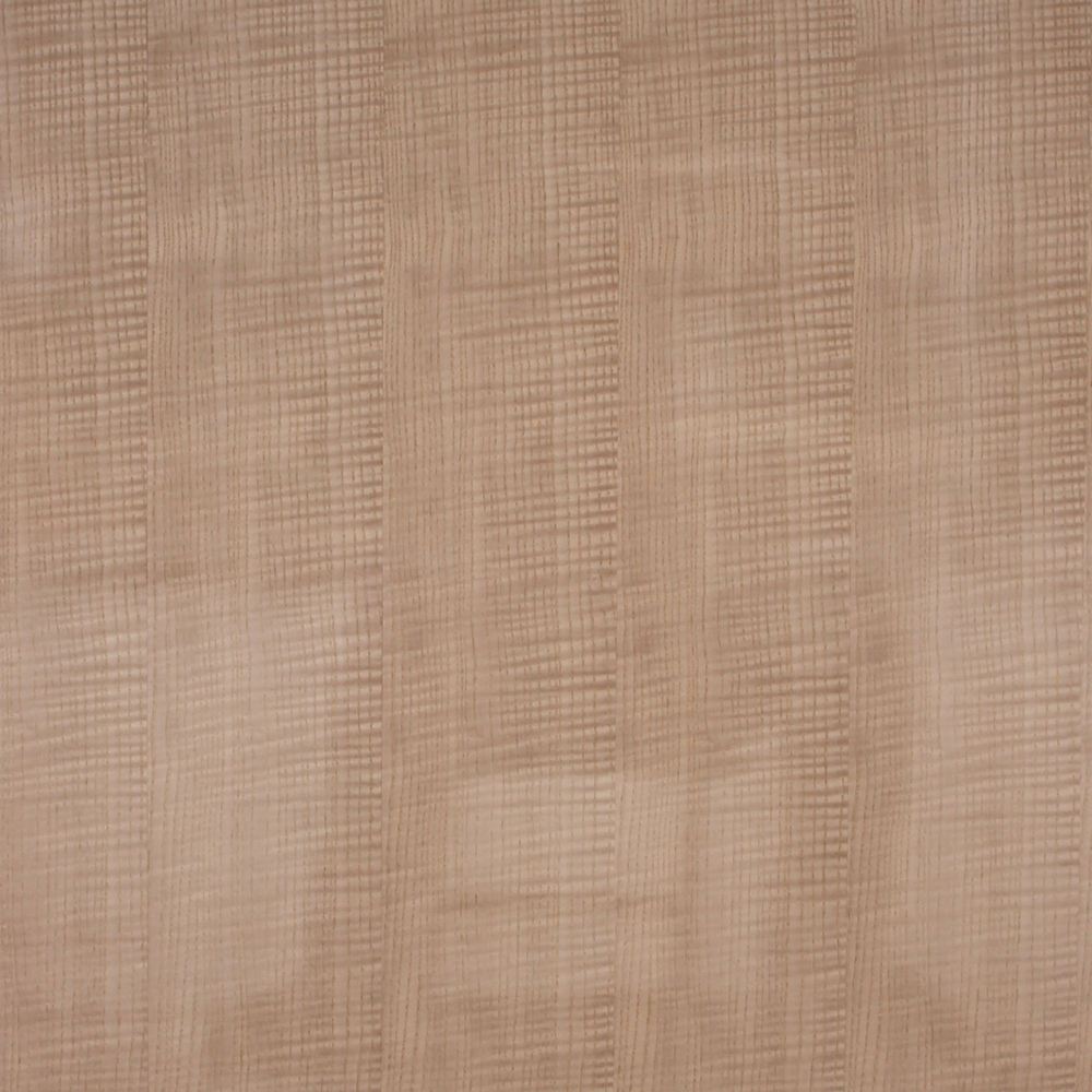 White thrombus shadow straight line