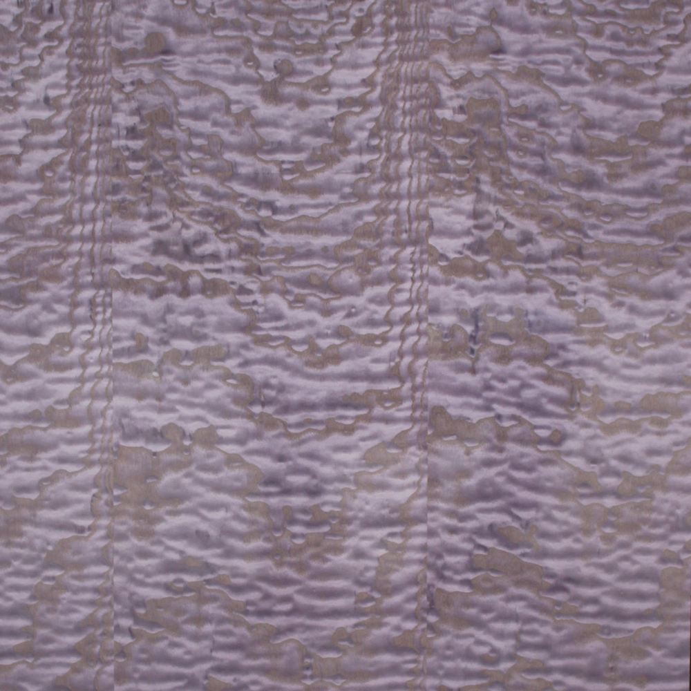 Fraxinus rhynchophylla