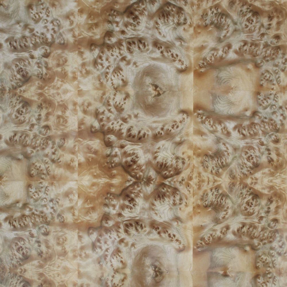 Shanxiangguoshu tumor